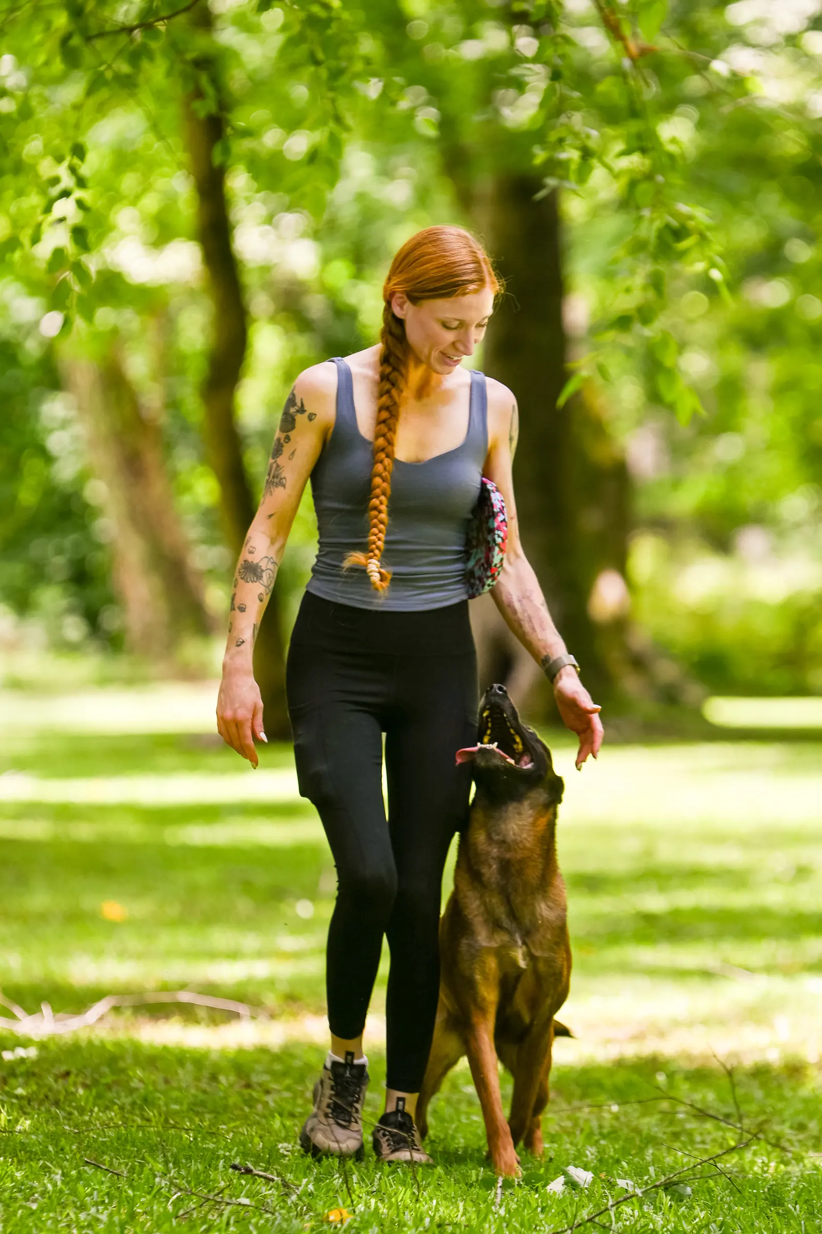 Pet sitting and in-home animal care 7